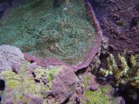 P9280245 [800x600].JPG