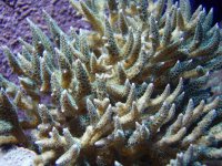 P9190226 [800x600].JPG