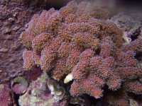 P9280248 [800x600].JPG