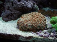 P9280250 [800x600].JPG