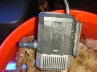 DSC00812.JPG