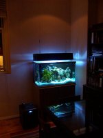 000_1035 (Medium).jpg