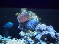 000_1042 (Medium).jpg