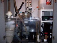 000_0941 (Medium).jpg