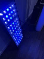 IMG_5733.jpeg