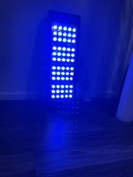 IMG_5732.jpeg