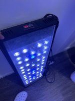 IMG_5735.jpeg