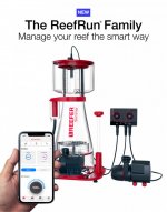 reefrunfamily.jpg