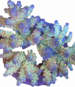 B0BD6E70-DDF8-472E-9A10-A2FB426F0606.png
