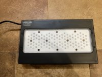 IMG_1187.jpeg