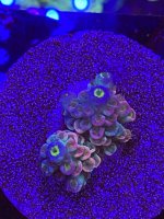 E4E13981-E046-4482-A87A-538CBF0A65DA.jpeg