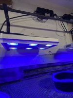 915B7BEB-52AC-45F6-8961-029C6FDBDCB1.jpeg