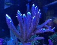 974E8015-4C26-42C4-84E0-EEB0ED524EA7.jpeg