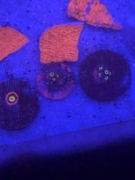 684C5C9A-DE02-44BB-865E-3DDA07682566.jpeg