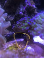 09D42708-16BD-4FBB-8426-F151CA9BC6B5.jpeg