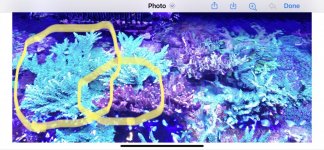 E4DED2CE-C06D-409E-8CAB-BA7A02F32962.jpeg
