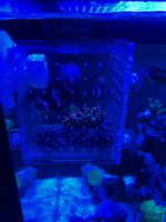 IMG_8591.jpeg