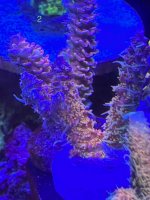 94BA086E-15F0-4FDD-9FC7-D8A7243AC23C.jpeg