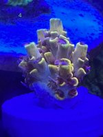 8F801217-C367-4AA6-AD25-8D1D54493FF2.jpeg