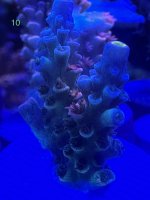 50727C74-0150-41E8-B7C6-40BB0A2C3D19.jpeg