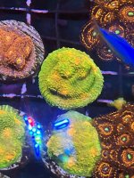 25531CDB-C38D-48CB-86FD-D37898EAB10B.jpeg