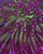 6E70622A-928E-4161-9720-0AC38403650A.jpeg