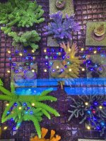 IMG_7118.jpeg