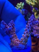 8319BA93-C2A8-4CDF-B961-91E447F3EE09.jpeg