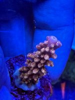D70375AD-1DB8-4B5C-9B02-2306B46F08FB.jpeg