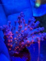 89A1A35F-31DC-4ACC-B21B-D50C90245B47.jpeg