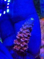 2C2721C4-F715-4DF7-84E5-C24EE8C3320D.jpeg