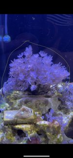 IMG_5715.jpeg