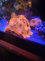 IMG_20230423_121935_01.jpg