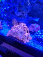 IMG_20230423_121919_01.jpg