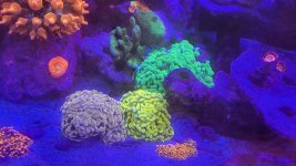 20230427_214810.jpg