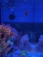 IMG_0998.jpg