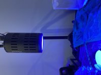 IMG_5214.jpeg