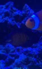IMG_1041.jpg