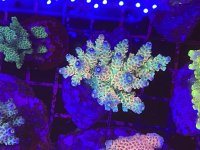 IMG_9825.jpeg