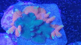20230518_124840.jpg