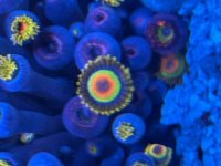 IMG_4029.jpeg