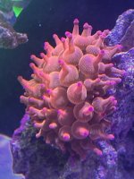 IMG_4521.jpeg