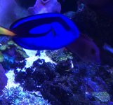 2B9746E5-4E70-4801-97E4-07A31F9E01E6.jpeg