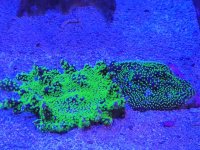 20230605_122001.jpg