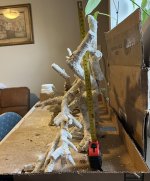 IMG_4861.jpeg