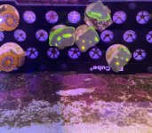IMG_7400.jpeg