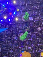IMG_7404.jpeg
