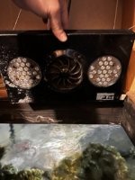 IMG_8080 Small.jpeg