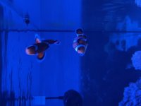 IMG_1435.jpg