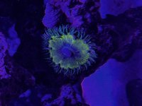 IMG_4388.jpeg
